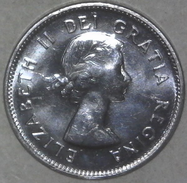 Post-Your-Coins-Representing-The-Animal-Kingdom.